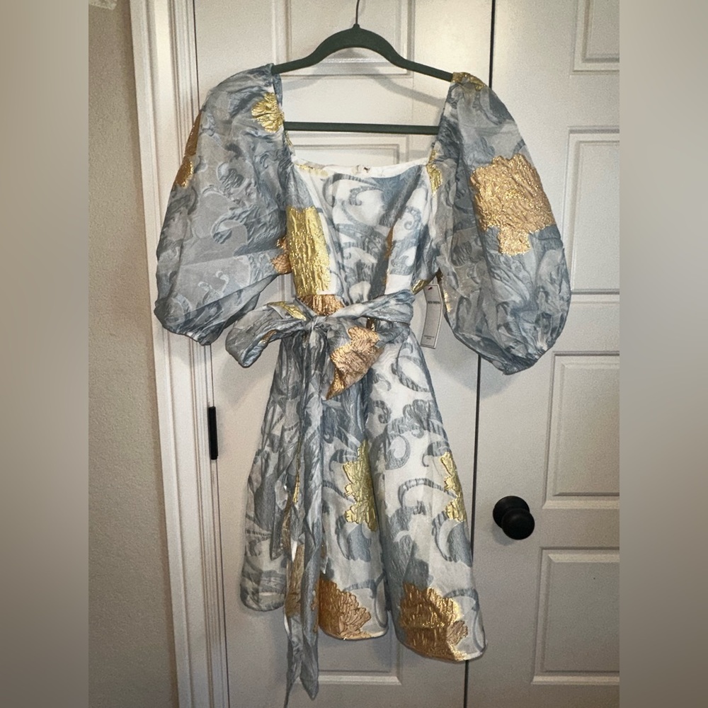 Blue and Gold Dress